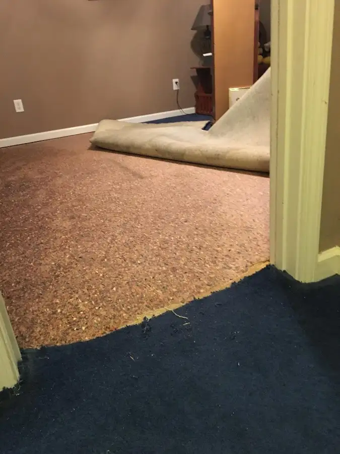 Carpet pad removal revealing water damage during Drying & Dehumidification in Nashua